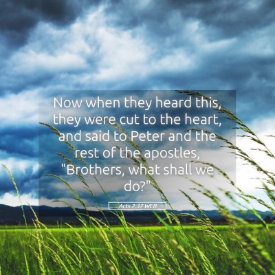 Picture 05 - Acts 2:37 WEB - Now when they heard this, they were cut to the - Bible Verse Picture
