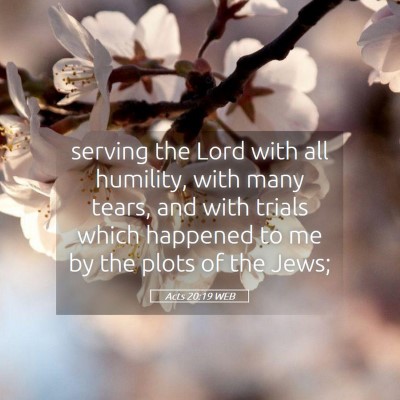 Picture 05 - Acts 20:19 WEB - serving the Lord with all humility, with many - Bible Verse Picture