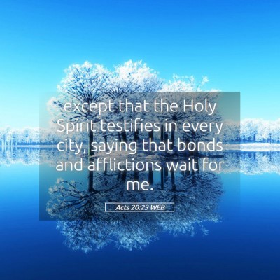 Picture 05 - Acts 20:23 WEB - except that the Holy Spirit testifies in every - Bible Verse Picture