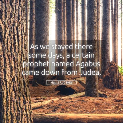 Picture 05 - Acts 21:10 WEB - As we stayed there some days, a certain prophet - Bible Verse Picture