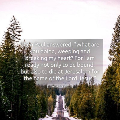 Picture 05 - Acts 21:13 WEB - Then Paul answered, 