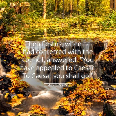 Picture 05 - Acts 25:12 WEB - Then Festus, when he had conferred with the - Bible Verse Picture