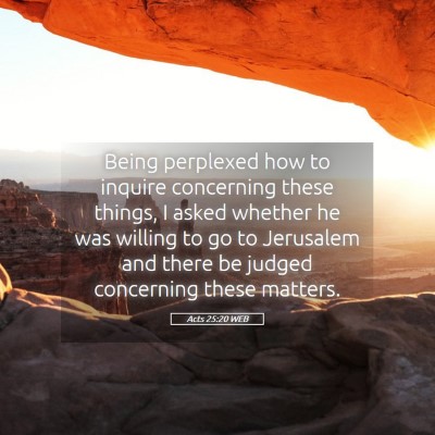 Picture 05 - Acts 25:20 WEB - Being perplexed how to inquire concerning these - Bible Verse Picture