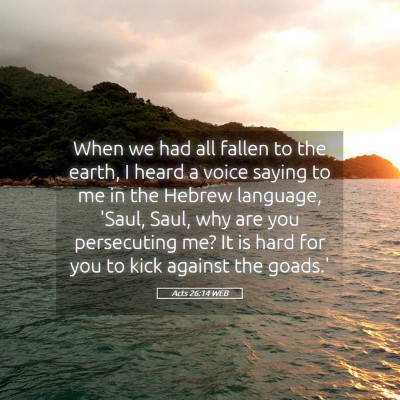 Picture 05 - Acts 26:14 WEB - When we had all fallen to the earth, I heard a - Bible Verse Picture