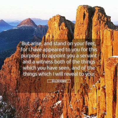 Picture 05 - Acts 26:16 WEB - But arise, and stand on your feet, for I have - Bible Verse Picture