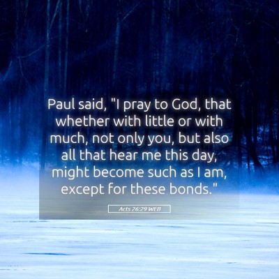 Picture 05 - Acts 26:29 WEB - Paul said, 
