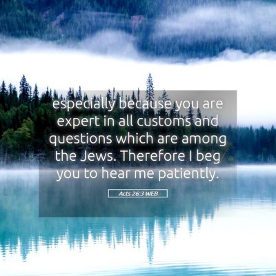Picture 05 - Acts 26:3 WEB - especially because you are expert in all customs - Bible Verse Picture