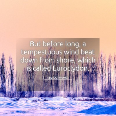 Picture 05 - Acts 27:14 WEB - But before long, a tempestuous wind beat down - Bible Verse Picture