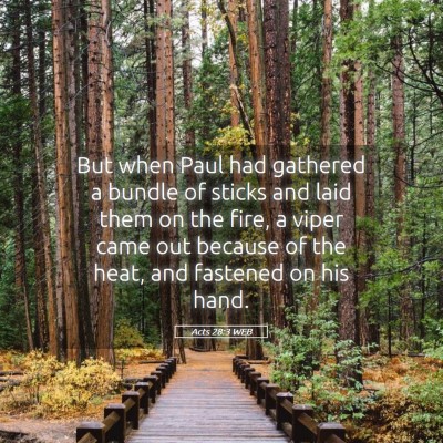 Picture 05 - Acts 28:3 WEB - But when Paul had gathered a bundle of sticks and - Bible Verse Picture