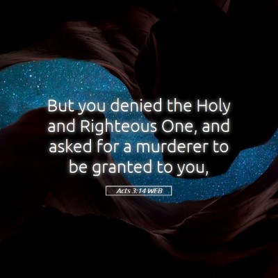 Picture 05 - Acts 3:14 WEB - But you denied the Holy and Righteous One, and - Bible Verse Picture