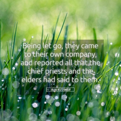 Picture 05 - Acts 4:23 WEB - Being let go, they came to their own company, and - Bible Verse Picture