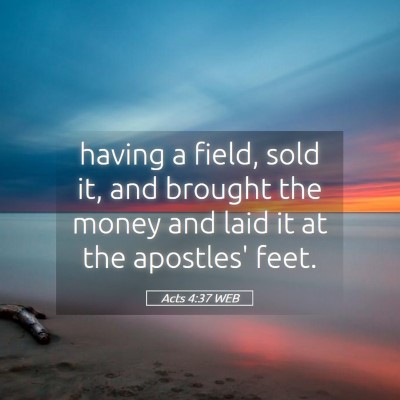 Picture 05 - Acts 4:37 WEB - having a field, sold it, and brought the money - Bible Verse Picture