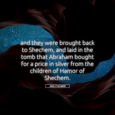 Picture 05 - Acts 7:16 WEB - and they were brought back to Shechem, and laid - Bible Verse Picture