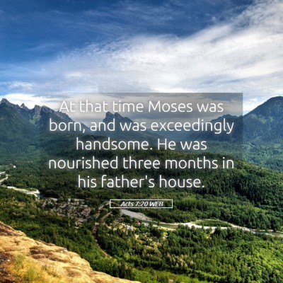 Picture 05 - Acts 7:20 WEB - At that time Moses was born, and was exceedingly - Bible Verse Picture