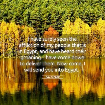 Picture 05 - Acts 7:34 WEB - I have surely seen the affliction of my people - Bible Verse Picture