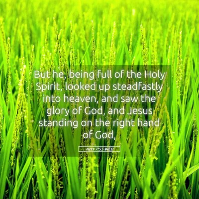 Picture 05 - Acts 7:55 WEB - But he, being full of the Holy Spirit, looked up - Bible Verse Picture