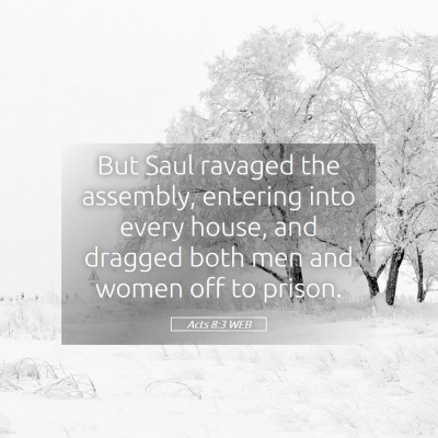 Picture 05 - Acts 8:3 WEB - But Saul ravaged the assembly, entering into - Bible Verse Picture