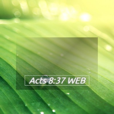 Picture 05 - Acts 8:37 WEB -  - Bible Verse Picture