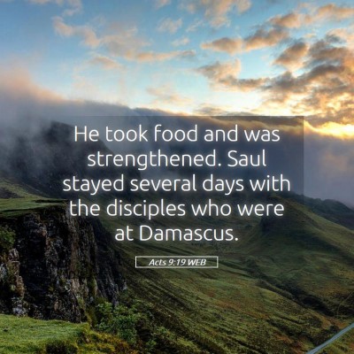 Picture 05 - Acts 9:19 WEB - He took food and was strengthened. Saul stayed - Bible Verse Picture