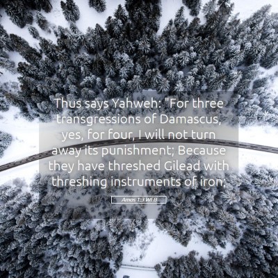 Picture 05 - Amos 1:3 WEB - Thus says Yahweh: 