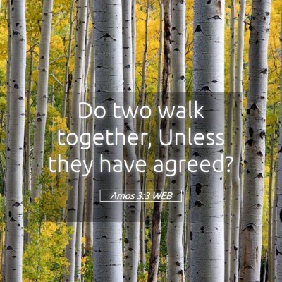 Picture 05 - Amos 3:3 WEB - Do two walk together, Unless they have - Bible Verse Picture