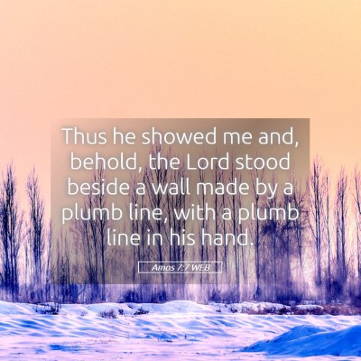 Picture 05 - Amos 7:7 WEB - Thus he showed me and, behold, the Lord stood - Bible Verse Picture