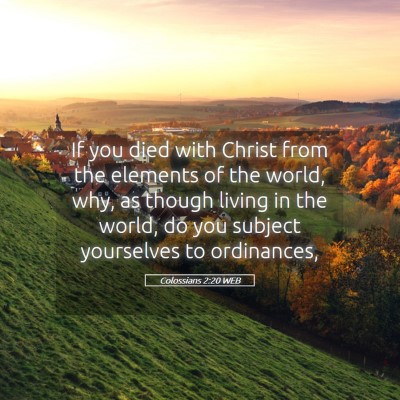 Picture 05 - Colossians 2:20 WEB - If you died with Christ from the elements of the - Bible Verse Picture