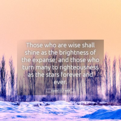 Picture 05 - Daniel 12:3 WEB - Those who are wise shall shine as the brightness - Bible Verse Picture