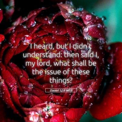 Picture 05 - Daniel 12:8 WEB - I heard, but I didn't understand: then said I, my - Bible Verse Picture