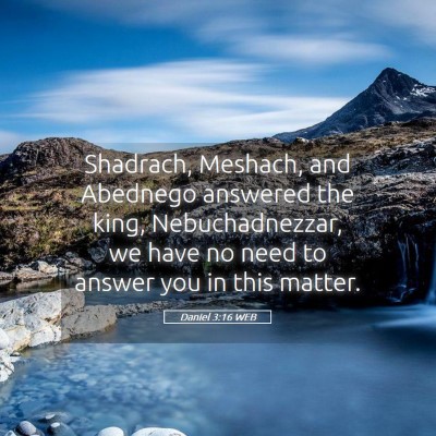 Picture 05 - Daniel 3:16 WEB - Shadrach, Meshach, and Abednego answered the - Bible Verse Picture