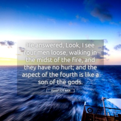Picture 05 - Daniel 3:25 WEB - He answered, Look, I see four men loose, walking - Bible Verse Picture