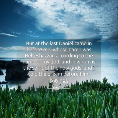 Picture 05 - Daniel 4:8 WEB - But at the last Daniel came in before me, whose - Bible Verse Picture