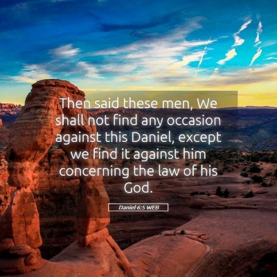 Picture 05 - Daniel 6:5 WEB - Then said these men, We shall not find any - Bible Verse Picture