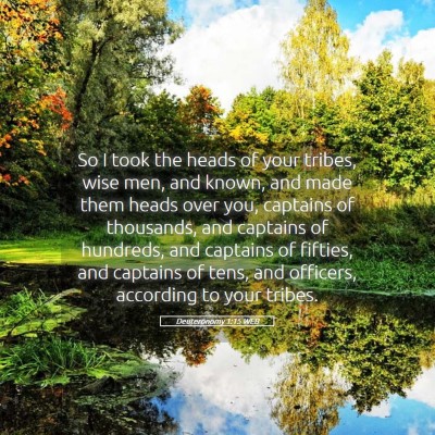 Picture 05 - Deuteronomy 1:15 WEB - So I took the heads of your tribes, wise men, and - Bible Verse Picture