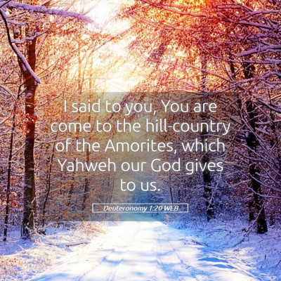 Picture 05 - Deuteronomy 1:20 WEB - I said to you, You are come to the hill-country - Bible Verse Picture