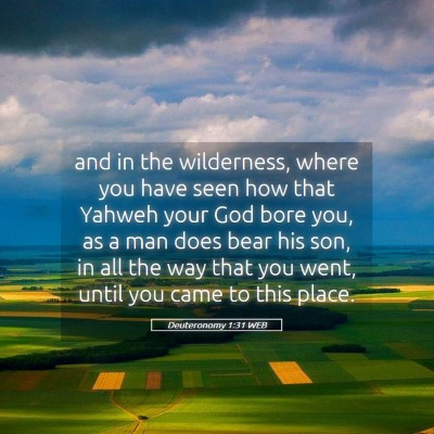 Picture 05 - Deuteronomy 1:31 WEB - and in the wilderness, where you have seen how - Bible Verse Picture