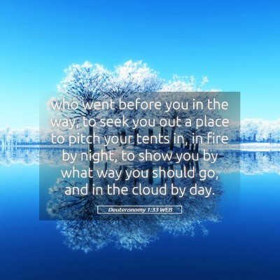 Picture 05 - Deuteronomy 1:33 WEB - who went before you in the way, to seek you out a - Bible Verse Picture
