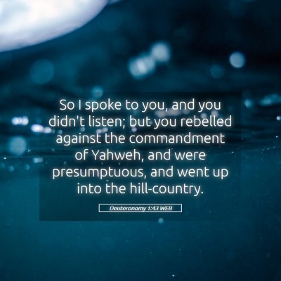 Picture 05 - Deuteronomy 1:43 WEB - So I spoke to you, and you didn't listen; but you - Bible Verse Picture