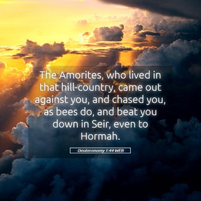 Picture 05 - Deuteronomy 1:44 WEB - The Amorites, who lived in that hill-country, - Bible Verse Picture