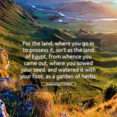 Picture 05 - Deuteronomy 11:10 WEB - For the land, where you go in to possess it, - Bible Verse Picture