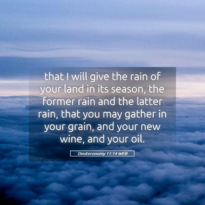 Picture 05 - Deuteronomy 11:14 WEB - that I will give the rain of your land in its - Bible Verse Picture