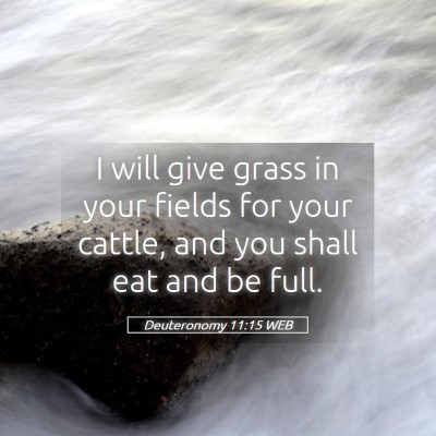 Picture 05 - Deuteronomy 11:15 WEB - I will give grass in your fields for your cattle, - Bible Verse Picture