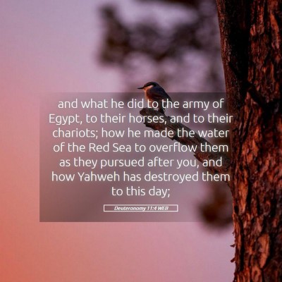 Picture 05 - Deuteronomy 11:4 WEB - and what he did to the army of Egypt, to their - Bible Verse Picture