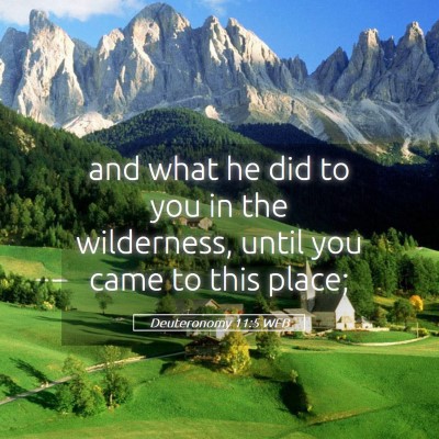 Picture 05 - Deuteronomy 11:5 WEB - and what he did to you in the wilderness, until - Bible Verse Picture