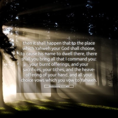 Picture 05 - Deuteronomy 12:11 WEB - then it shall happen that to the place which - Bible Verse Picture
