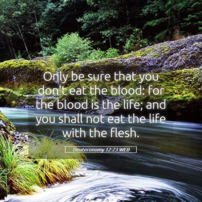 Picture 05 - Deuteronomy 12:23 WEB - Only be sure that you don't eat the blood: for - Bible Verse Picture