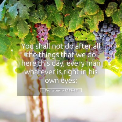 Picture 05 - Deuteronomy 12:8 WEB - You shall not do after all the things that we do - Bible Verse Picture