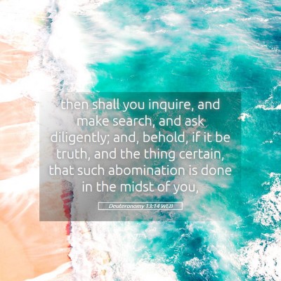 Picture 05 - Deuteronomy 13:14 WEB - then shall you inquire, and make search, and ask - Bible Verse Picture