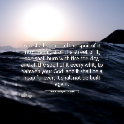 Picture 05 - Deuteronomy 13:16 WEB - You shall gather all the spoil of it into the - Bible Verse Picture