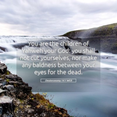 Picture 05 - Deuteronomy 14:1 WEB - You are the children of Yahweh your God: you - Bible Verse Picture